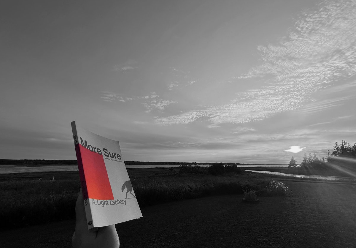 A. Light Zachary tweet media