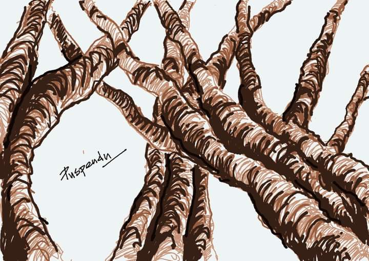 puspendu789's tweet photo. #arts #art #artwork #artisan #artist #artistoninstagram #artistoninstagram #digitalart #mspaint #digital #treesketch #sketchbook #sketch #sketching #drawingskills #drawing #drawingart https://t.co/HZRmiepgyv