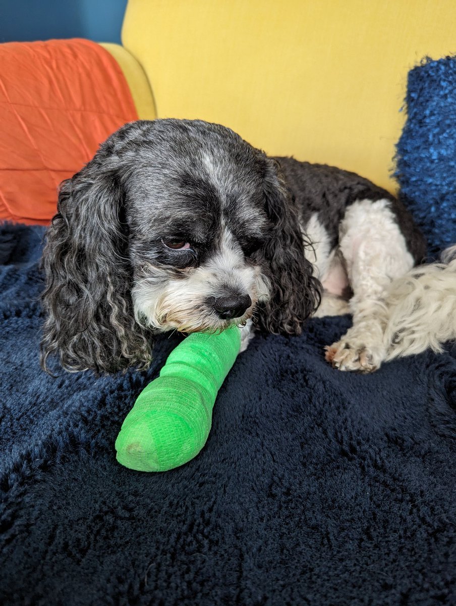 freckledesigner's tweet image. He&apos;s not impressed with how Friday shaped up...