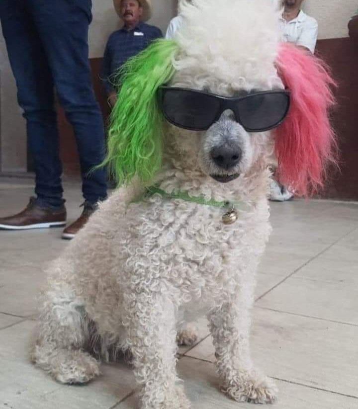 B_KeniniOs's tweet photo. Mood de hoy https://t.co/7ufiTlnZBZ