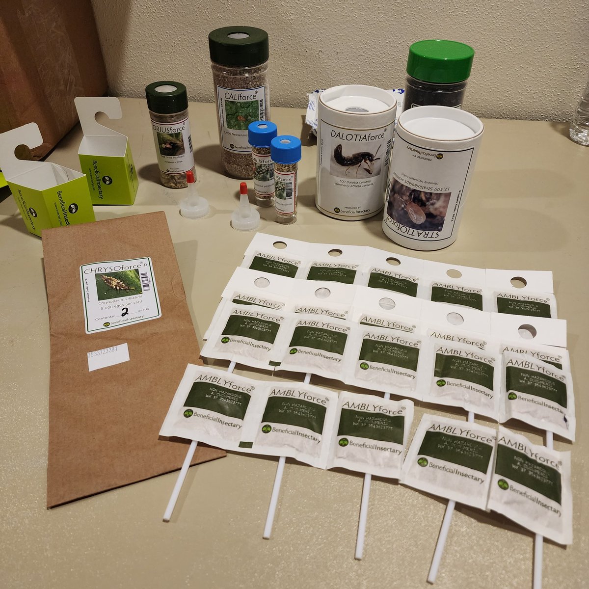 BugladySuzanne's tweet photo. Thanks Beneficial Insectary for the samples for my tropical foliage pest management class today!  #portland #biocontrol #goodbugs #beneficials #ipm #foliage #beneficialinsectary @Biobest_Group https://t.co/BE9DG5f2Ff