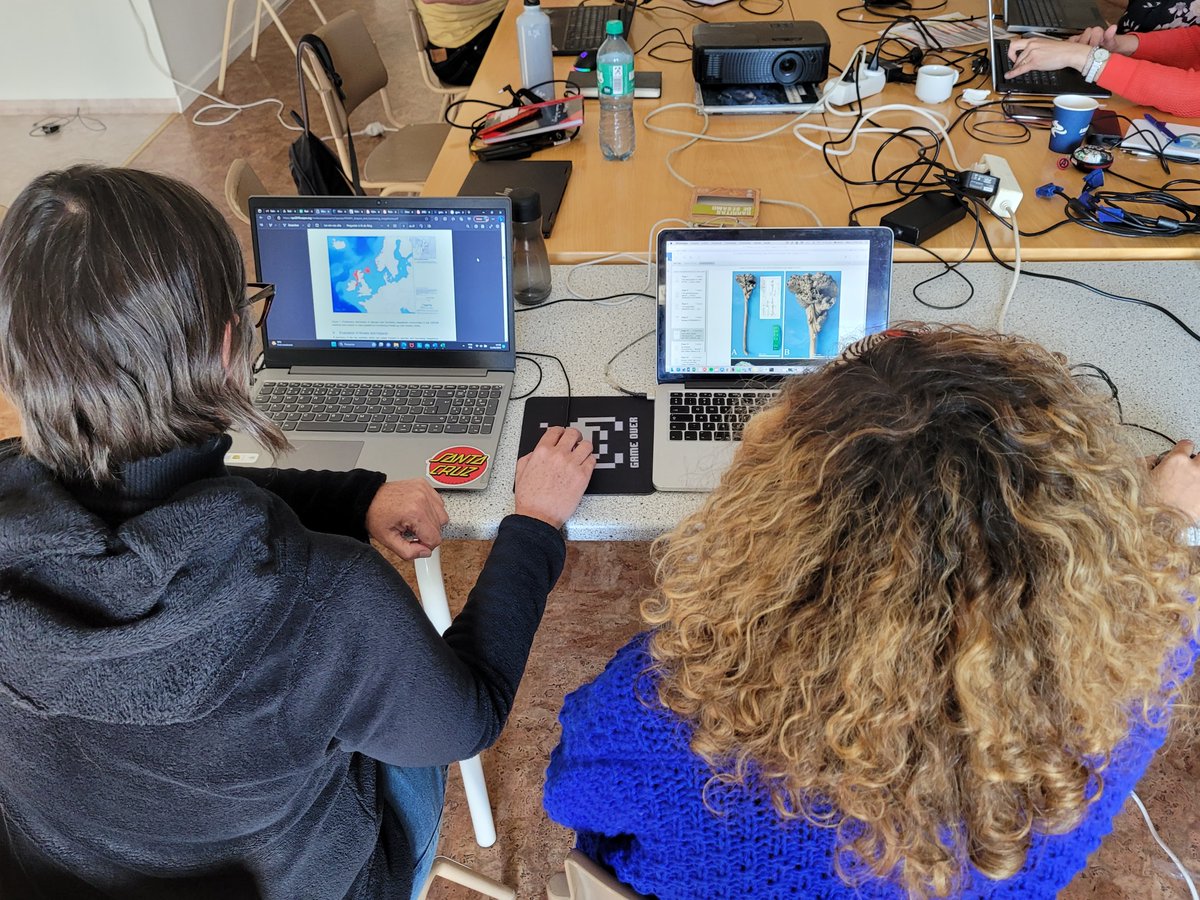 irisgorgona's tweet photo. Red listing a seapen with @renatacmarantes  for @IUCNRedList @oceanspecies_ @thekkingars #iceland #2023 #octocoralFriday https://t.co/wISG2PP7sX