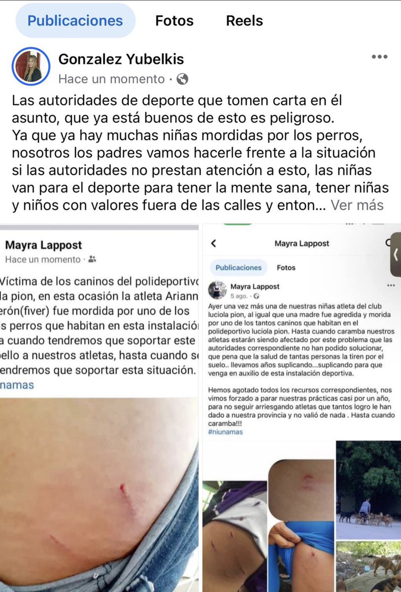 AngelaPepen's tweet photo. @miderec_rd @luisabinader @F_CamachoR @raquelarbaje que alguien nos ayude con esto! https://t.co/uo5bhi34eG