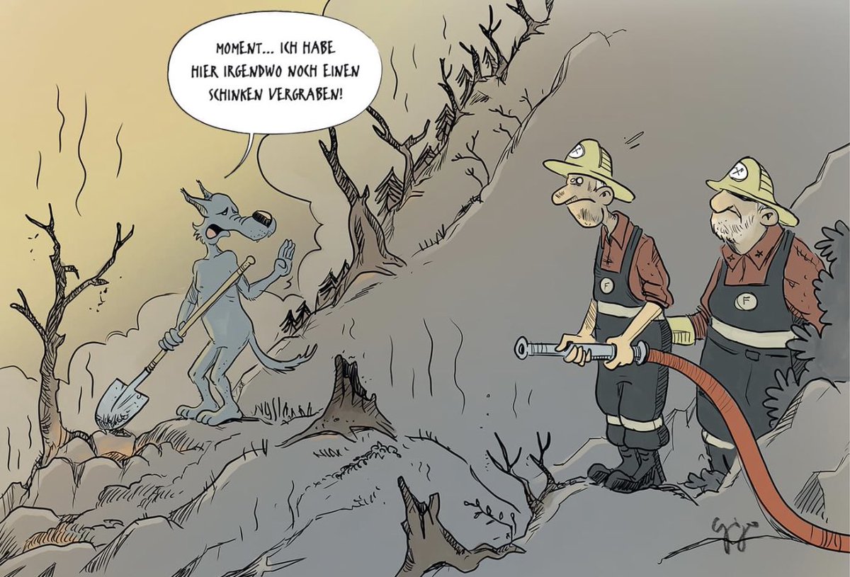 rebeccaschuepfe's tweet photo. Da können jetzt alle kommen und etwas anderes behaupten. Gilt aber nicht. Denn wir haben eindeutig den besten Cartoonisten der Schweiz @gigalcartoons - allesamt weltklasse! @walliserbote https://t.co/NydTfmtI9W