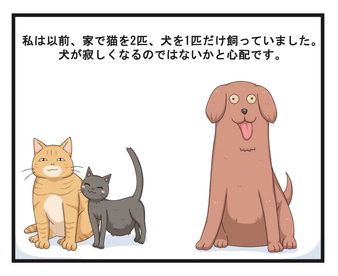 私の猫と犬
My Cats and Dog
我的猫和狗 