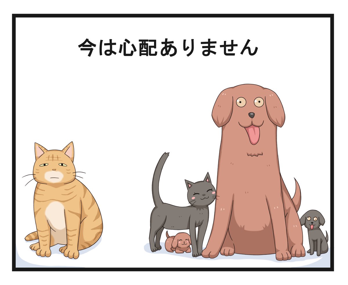 私の猫と犬
My Cats and Dog
我的猫和狗 