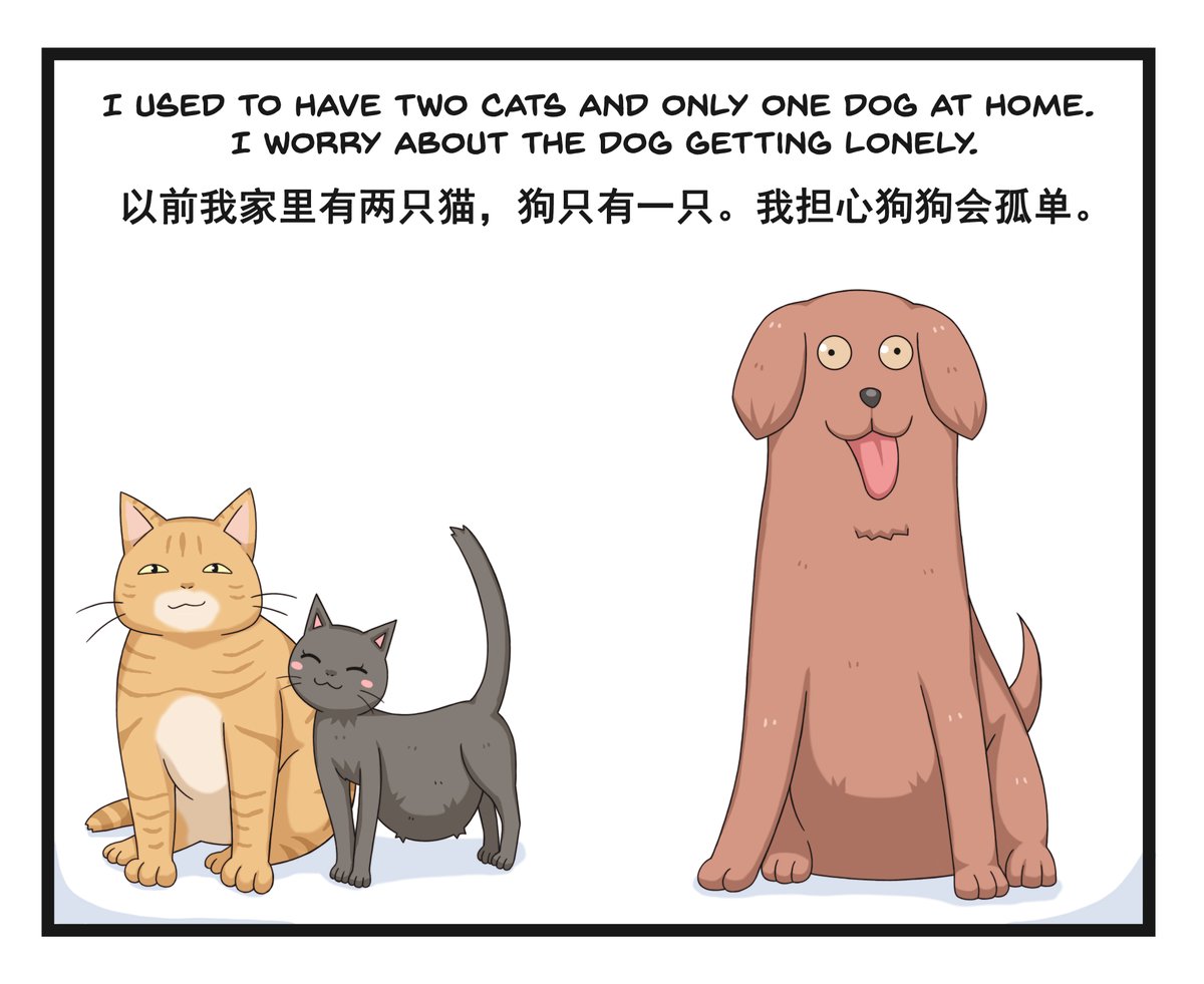 私の猫と犬
My Cats and Dog
我的猫和狗 