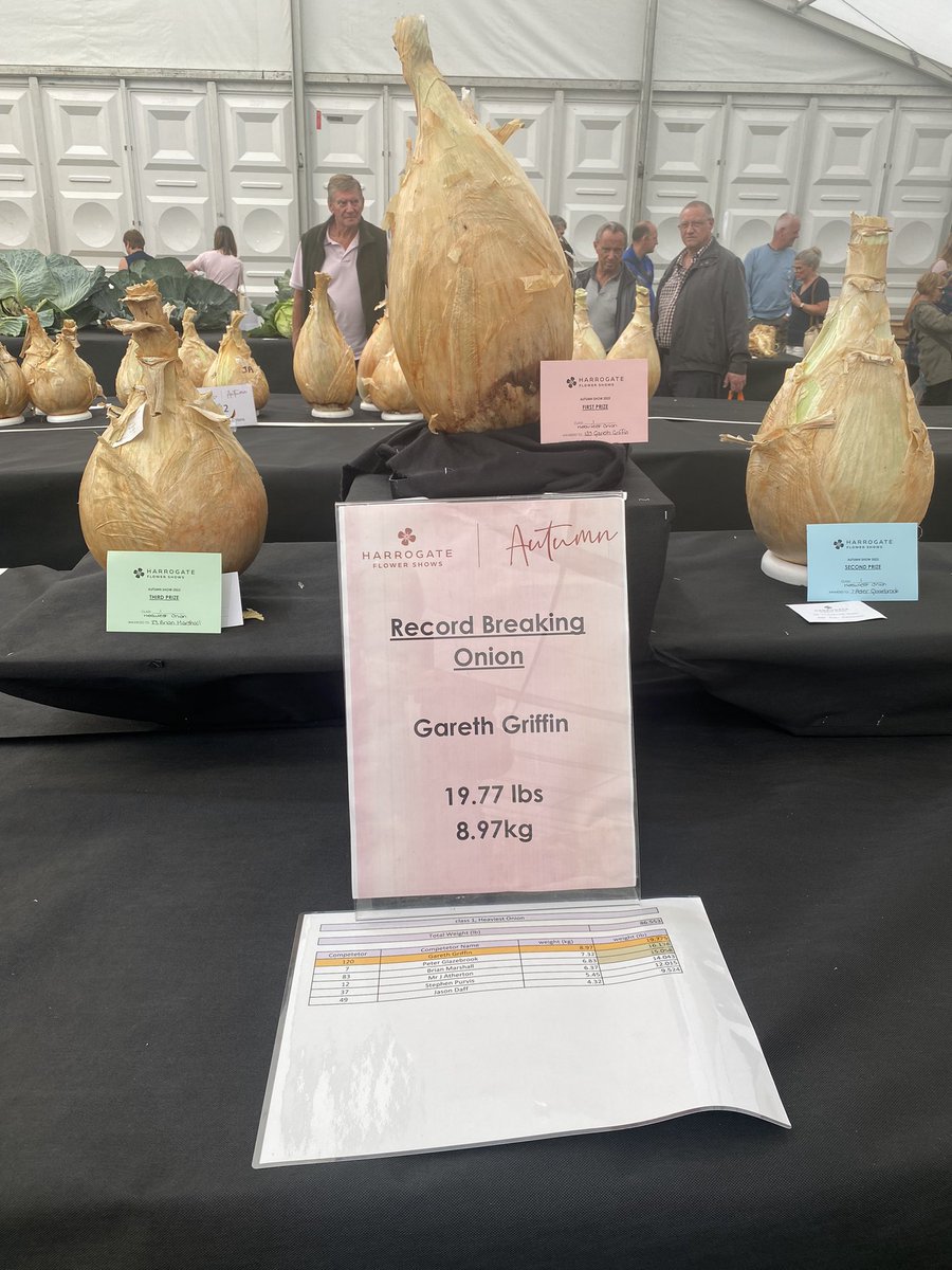 World record onion broken!!