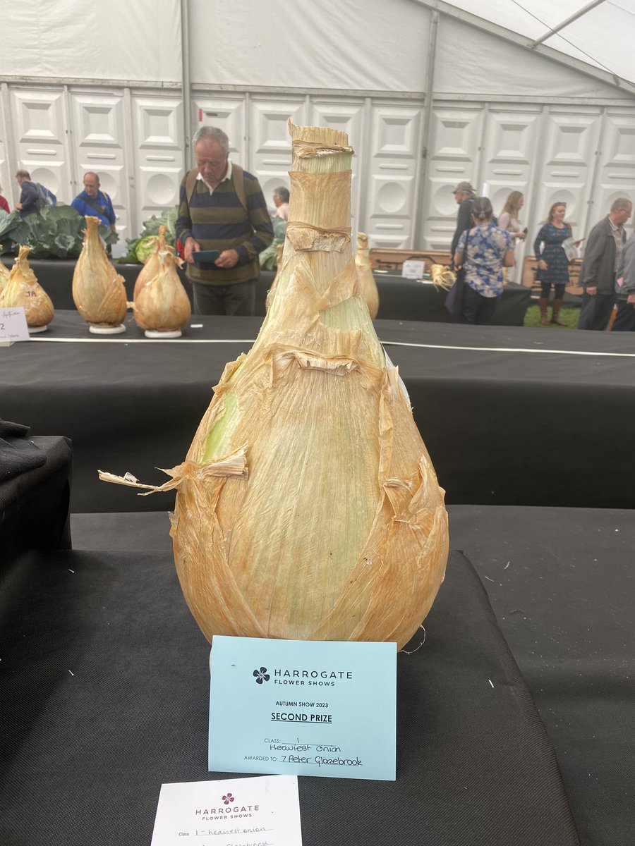 Medwyn Williams tweet media