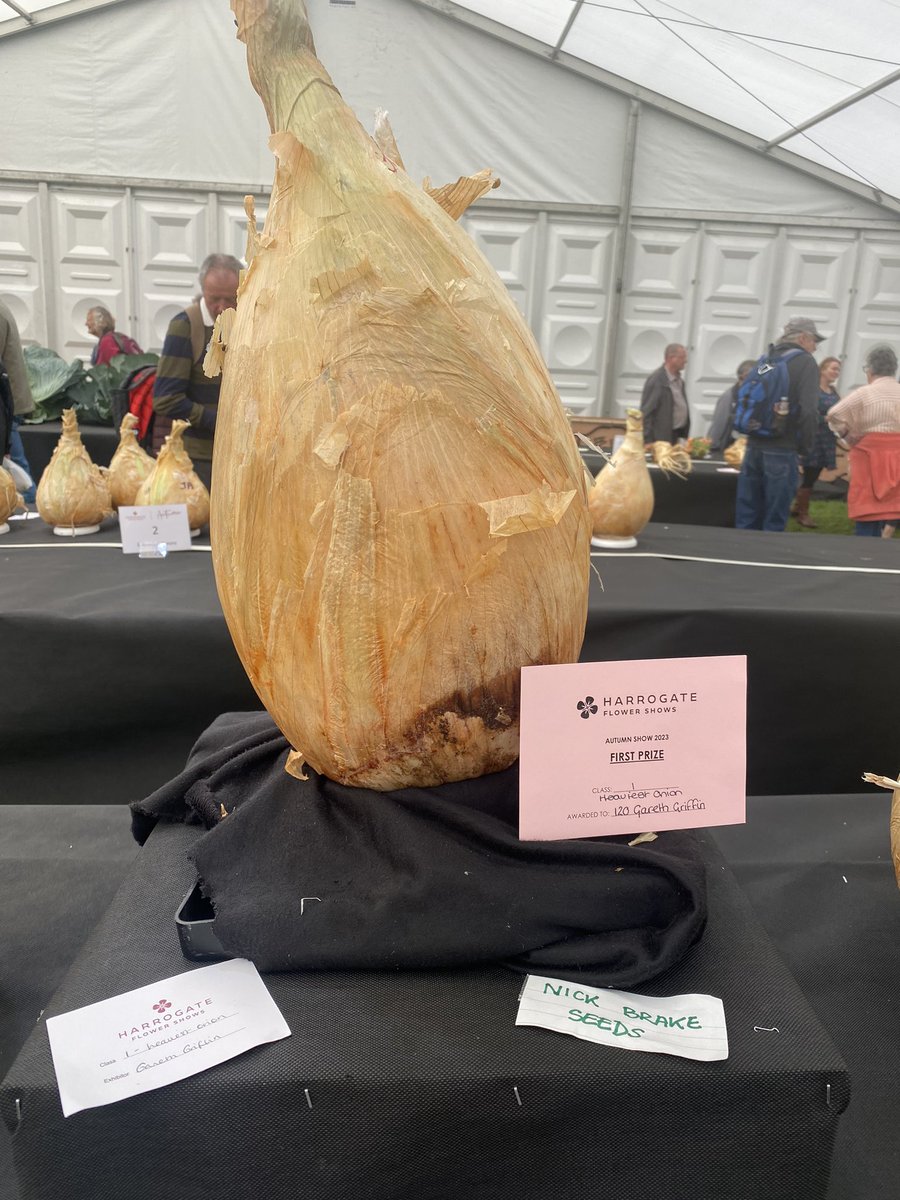 Medwyn Williams tweet media