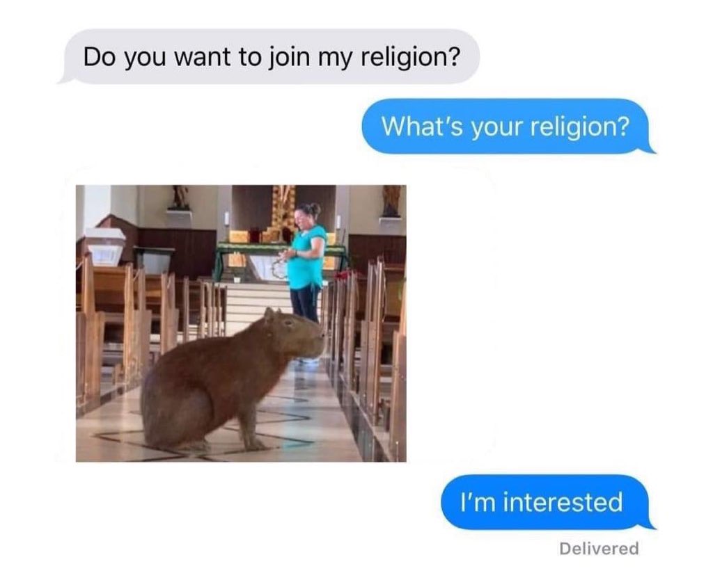 CAPYBARA MAN (@capybara_man) on Twitter photo 