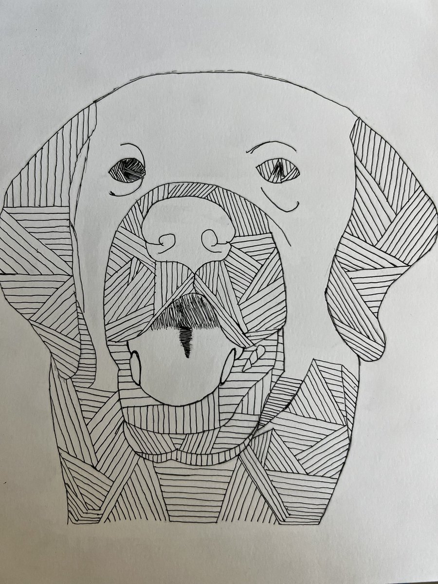 artBWHS's tweet photo. A few more line drawings! @BWLSD https://t.co/DKqFjsKnEs