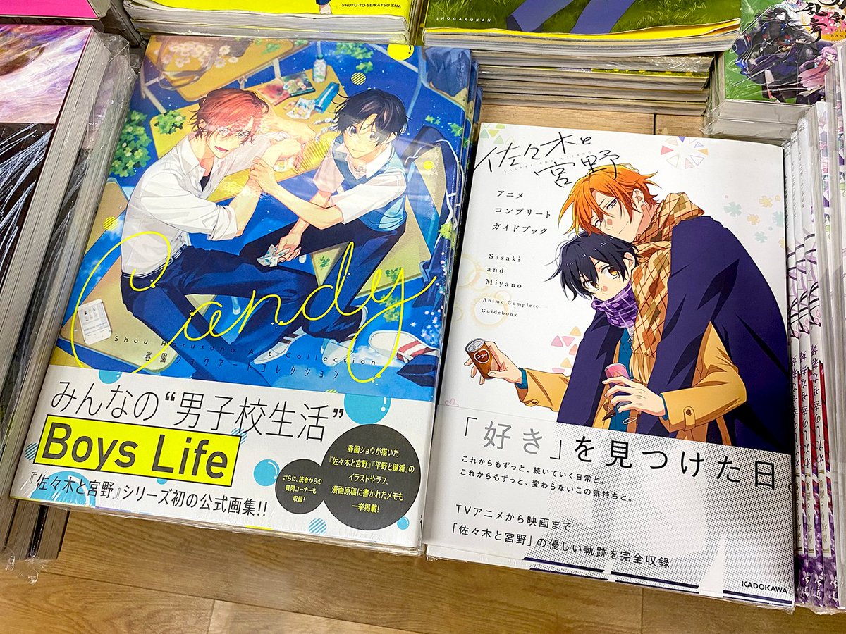 Sasaki & Miyano Second Years Soft Cover Novel Volume 2