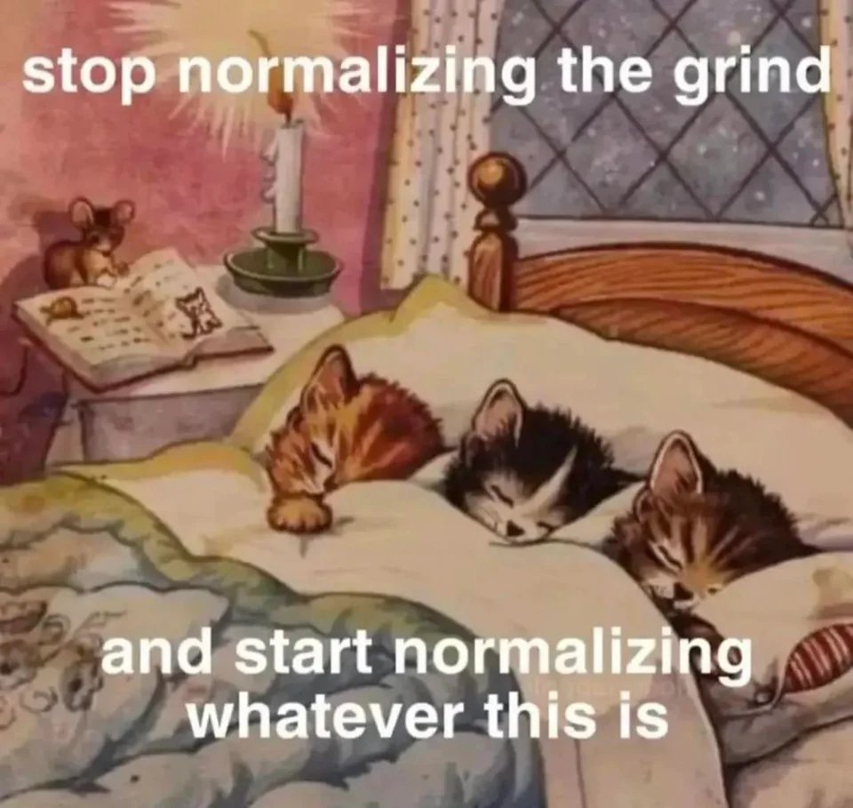 WholesomeMemes tweet media