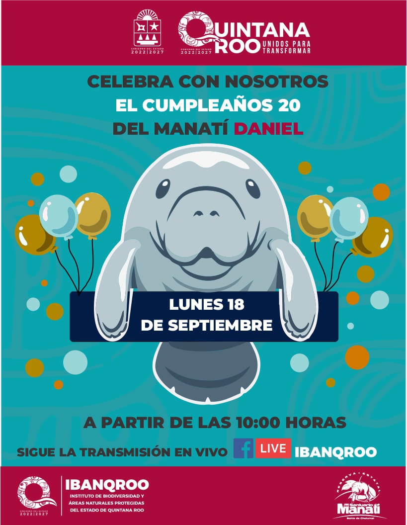 IBANQROO tweet media