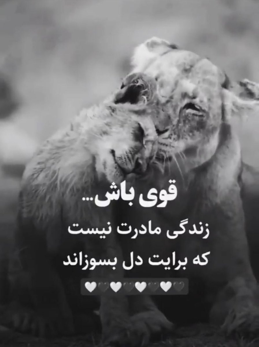 sabirkhosty1's tweet photo. https://t.co/IIduG0fAKo