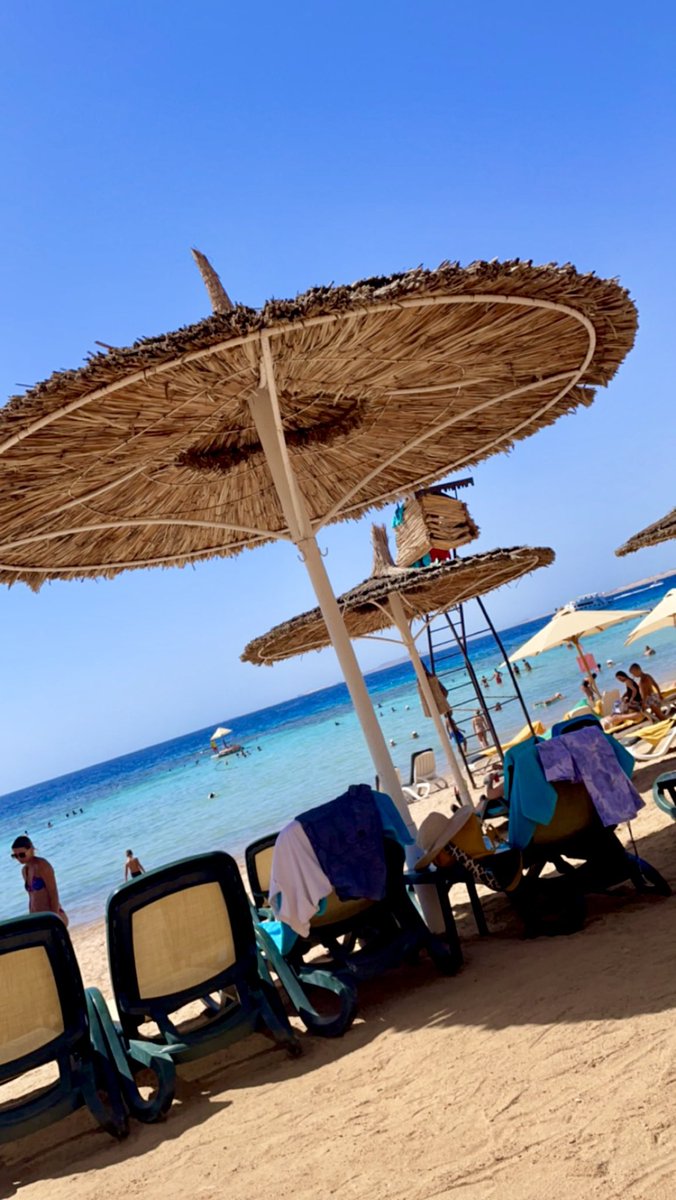 Nicole🌼 tweet media