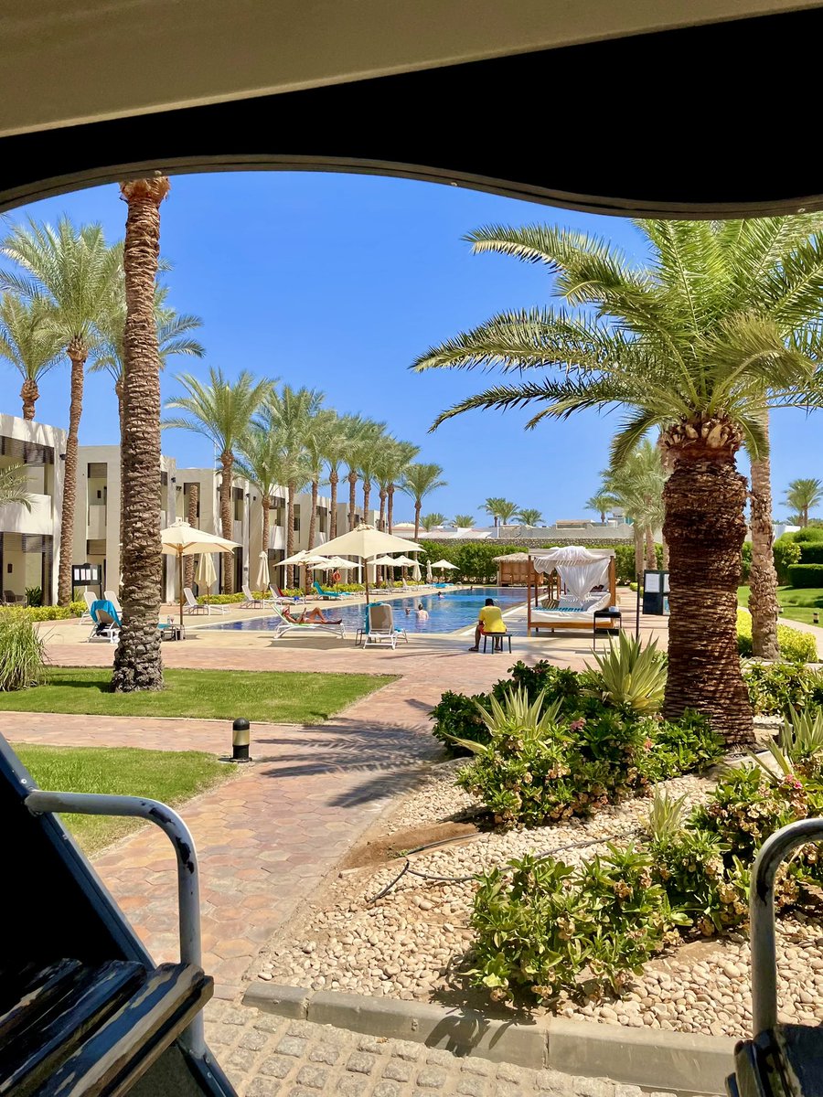 Nicole🌼 tweet media