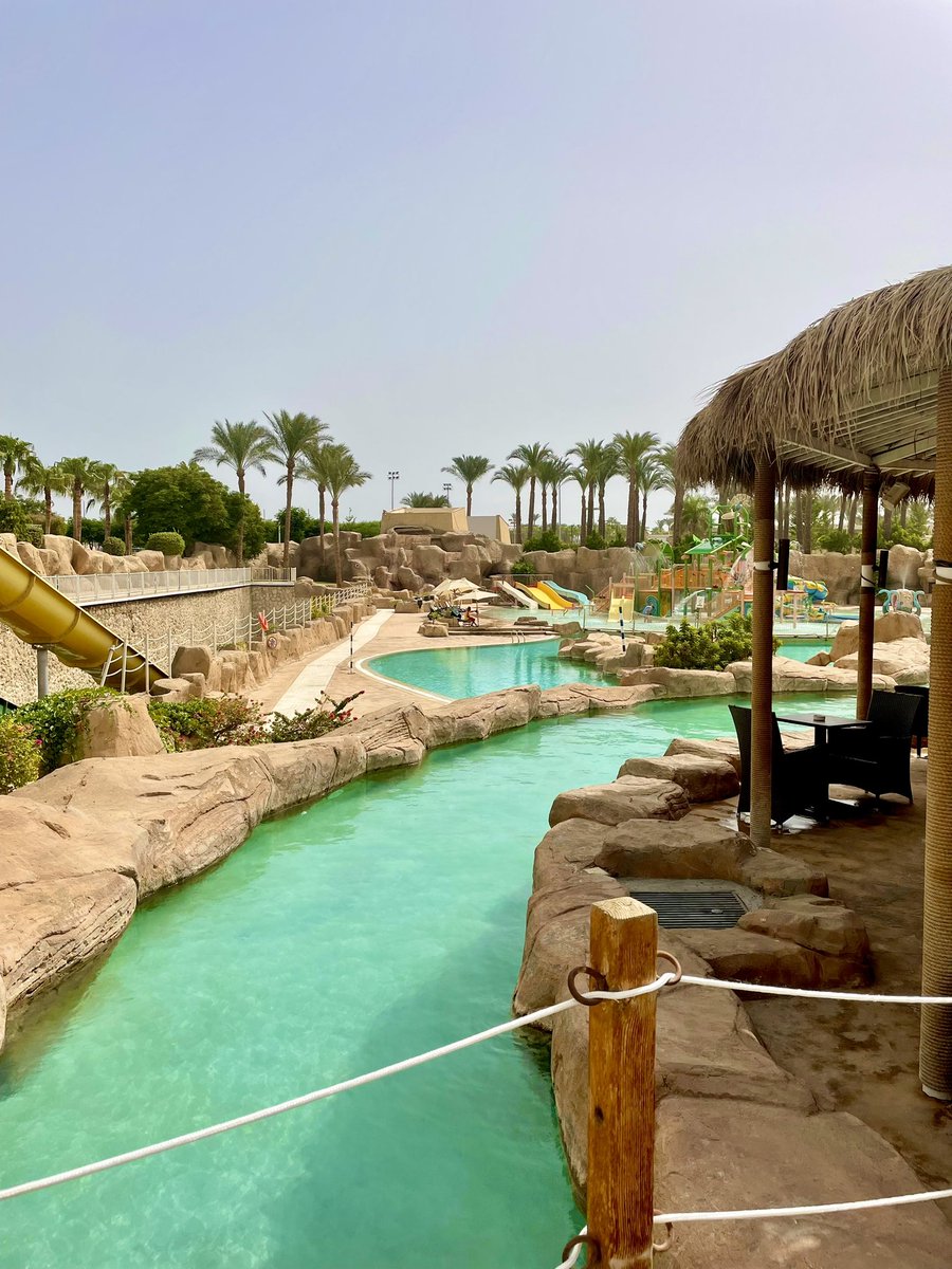 Nicole🌼 tweet media