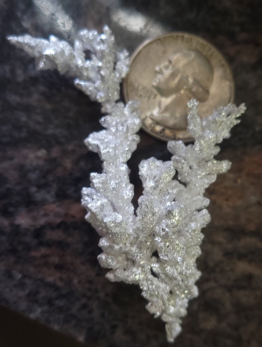 Think I'm gonna harvest my silver xtals tomorrow. Should be over a kilo with many individual pieces well over 1/2 Toz! #Silver #silverfanart #gold #crystals #bullion #silvercollecting