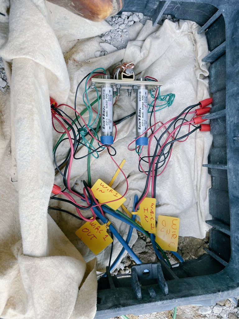 Bill Seigle tweet media