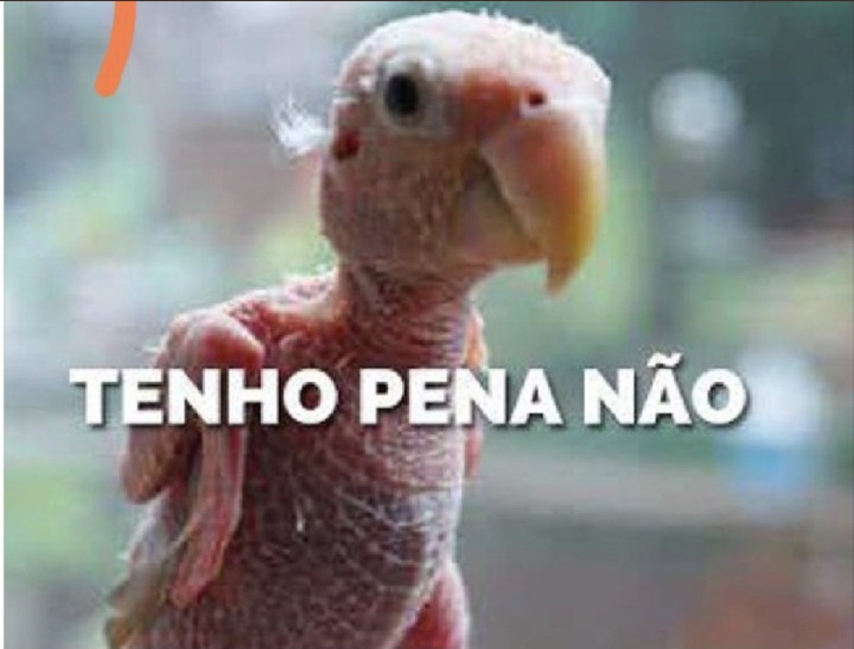 MariaHelenaPa10's tweet photo. @lelispatricia É por causa desse povo que eles acham que pode tudo e que nada irá acontecer. https://t.co/myhUNf5Tia