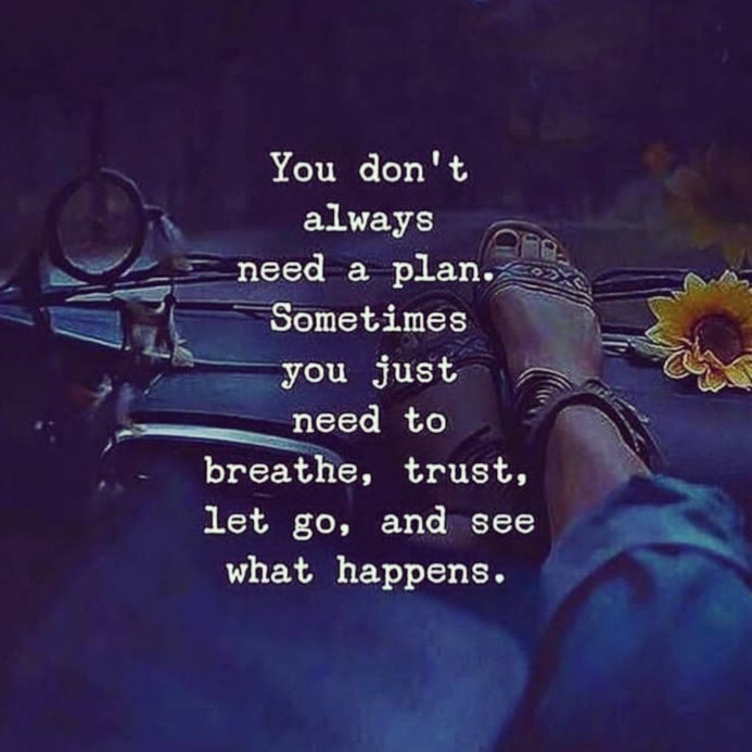 Dianne Radloff (@dianneradloff) on Twitter photo 