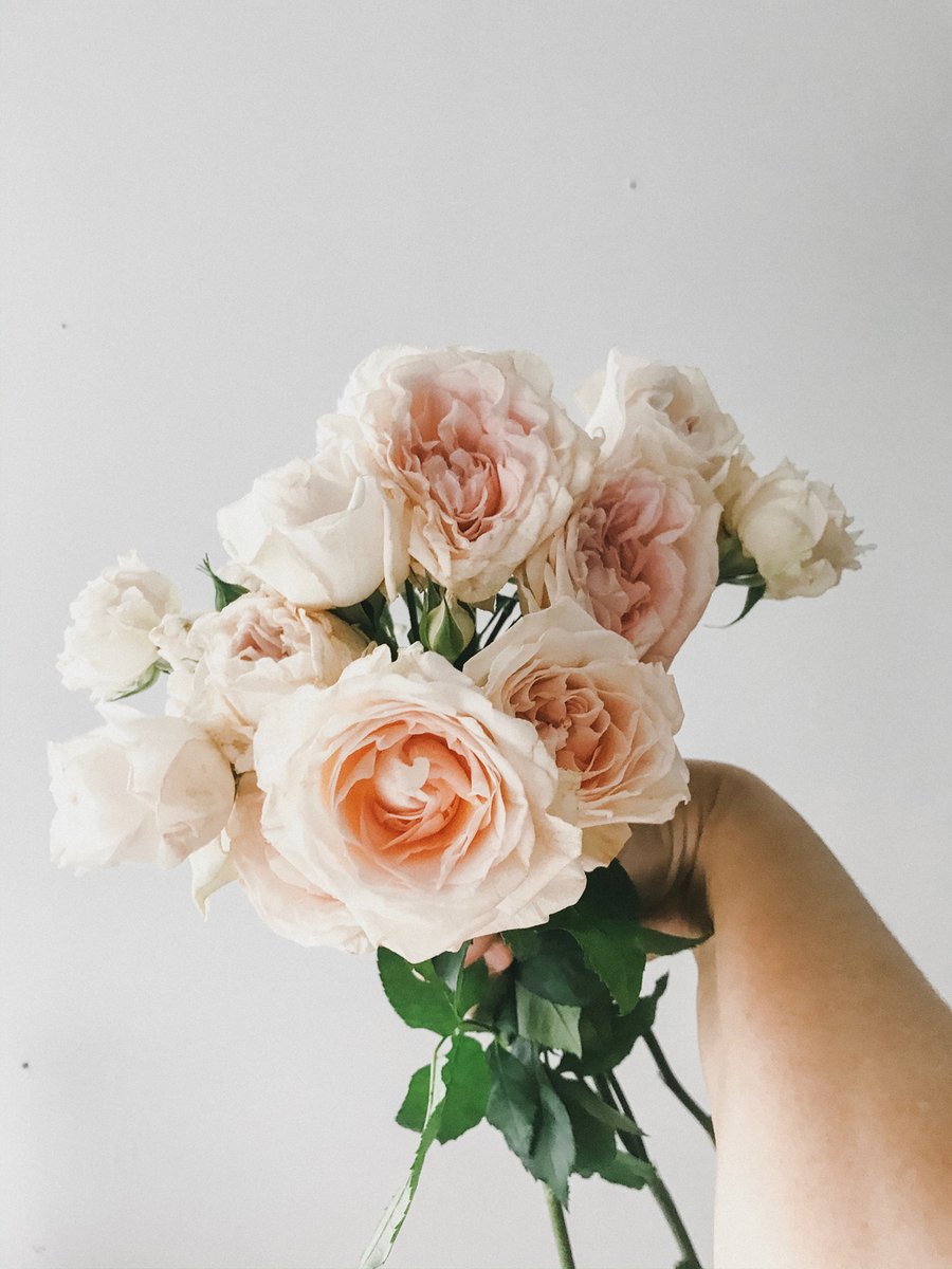 Sometimes a handful of blooms can make your day….
.
.
 fieldtovase 
#inthegarden 
#grownflowers
#theinstagramlab 
#gardens 
#farmers 
#fruits 
#veggies 
#herbs 
#forage 
#flowersfordays 
#gardengram 
#flowerfarm 
#gardenbeauty 
#slowflowers 
#perennials 
#farmerflorist 
#localf