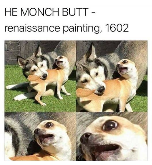 WholesomeMeme's tweet photo. https://t.co/kymyfJstDV