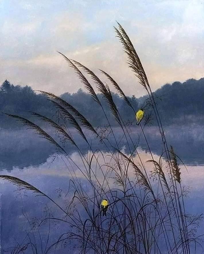 🎨Timothy Barr 🎀