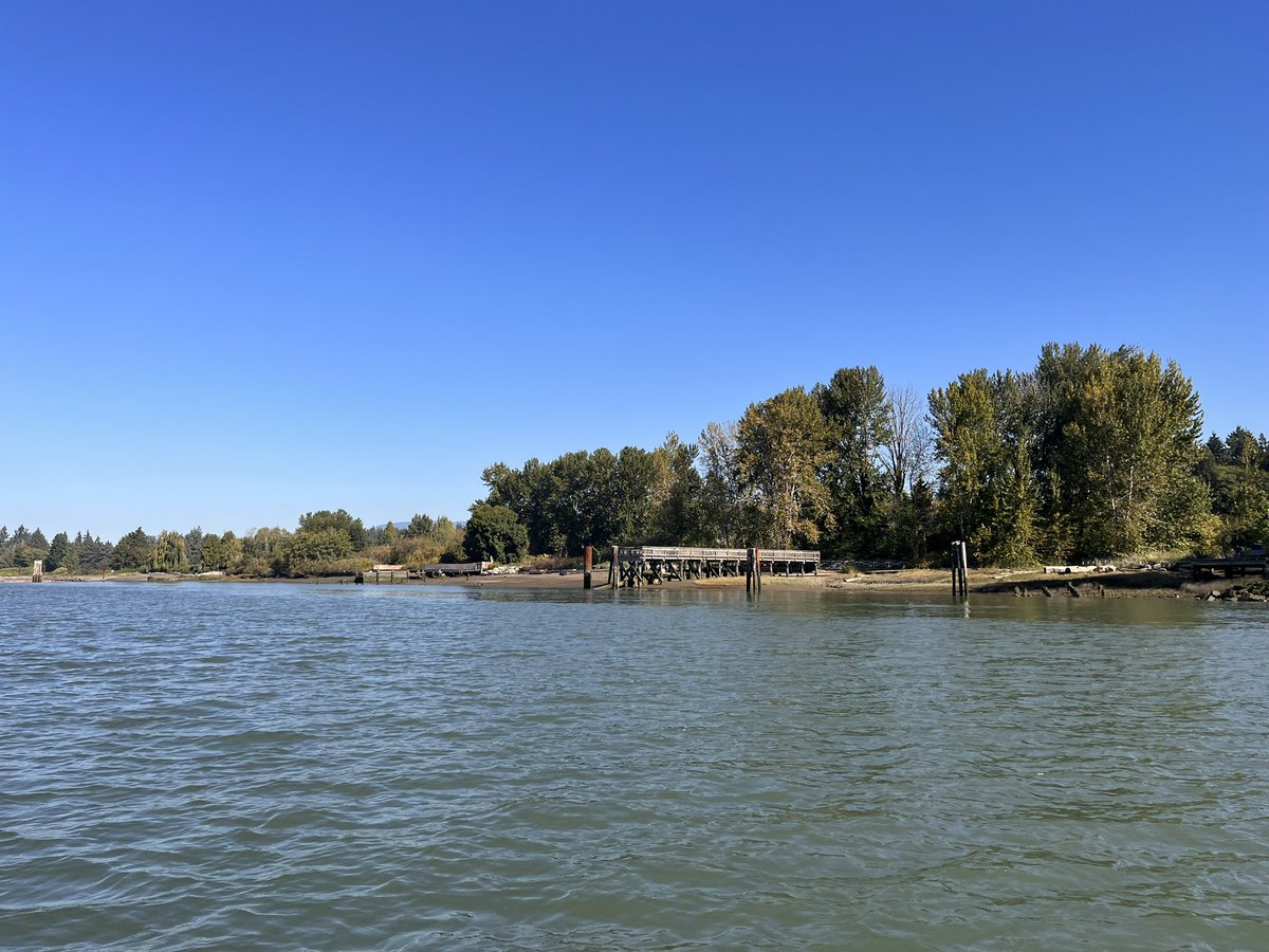 Heather Deal tweet media