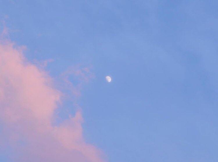 this pic reminded me of seonho’s first post way back 2022 🥹