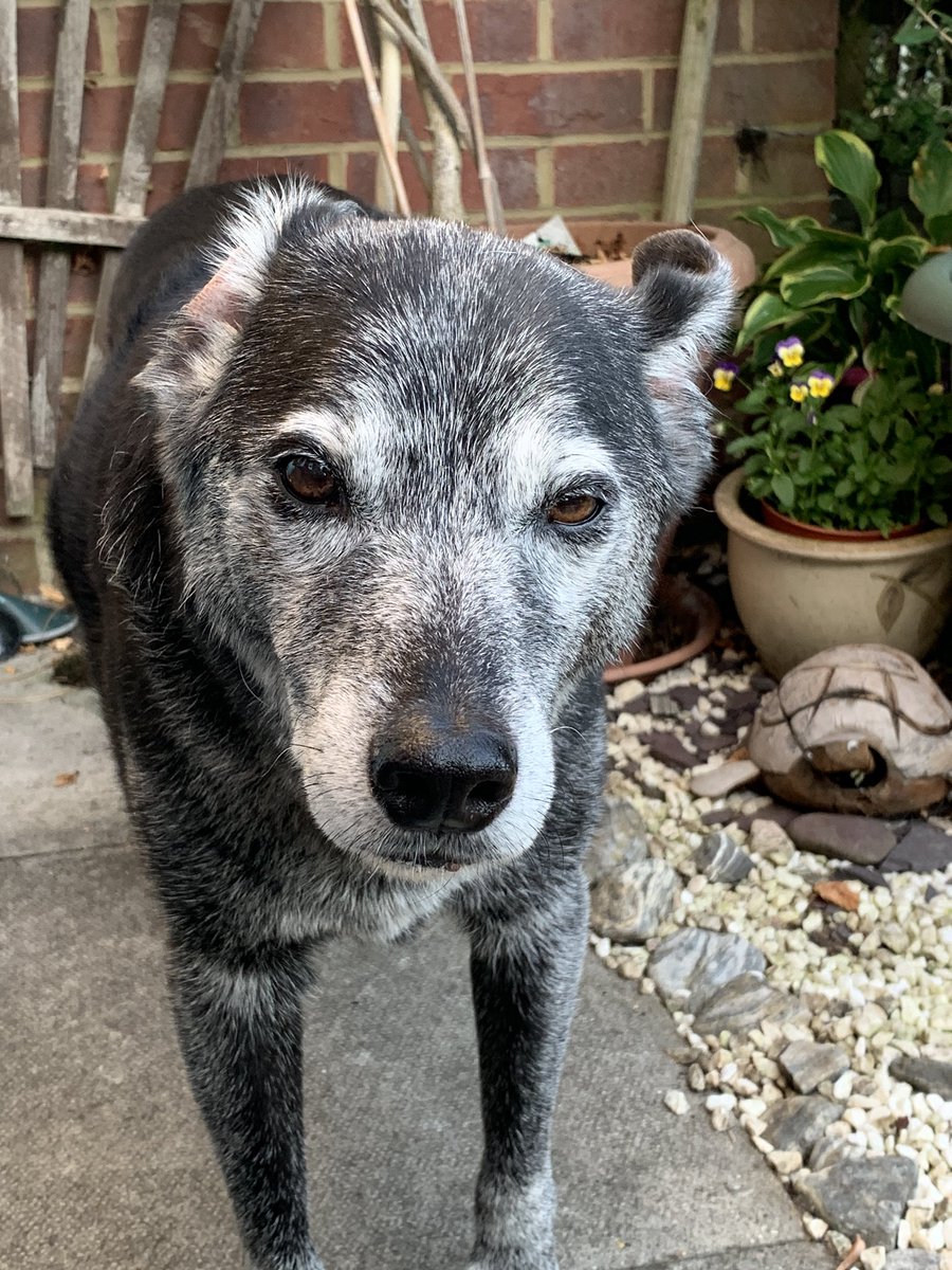 MerlinnotDesmo's tweet image. What?!? 🙉