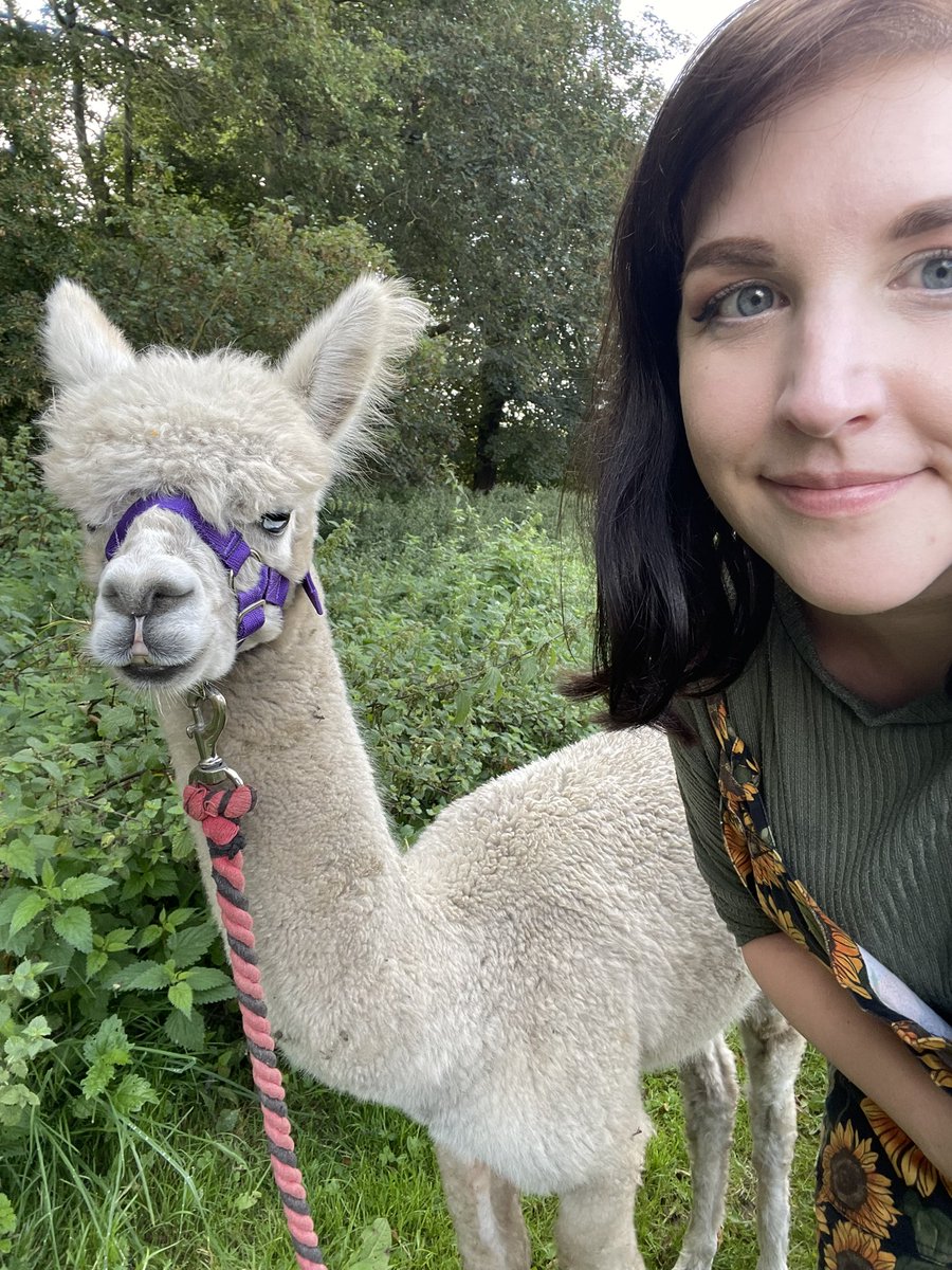 Emily Victoria Porsch tweet media