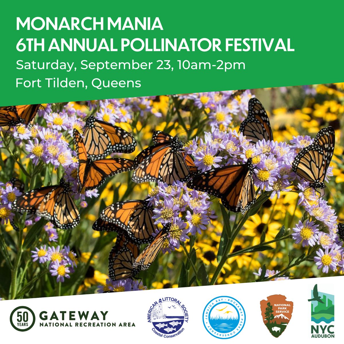 NEXT WEEKEND! Join NYC Audubon, @littoralsociety, @jbrpc, and @gatewaynps at Fort Tilden for Monarch Mania, a festival celebrating our local pollinators! Learn more about the festival at littoralsociety.org/monarch-mania.…