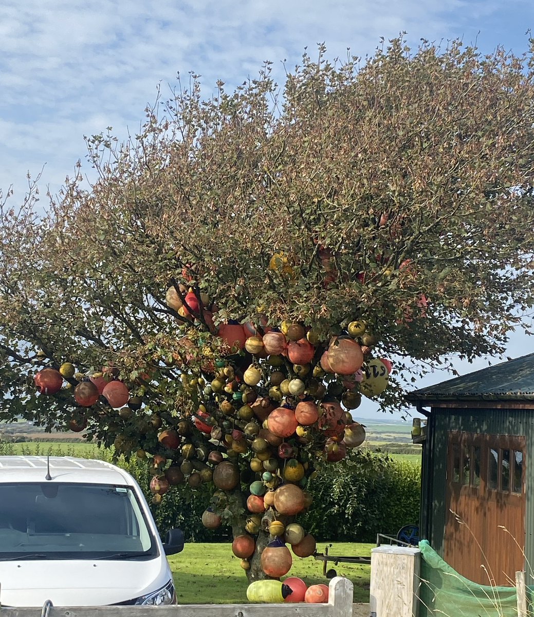 Alan E Down tweet media