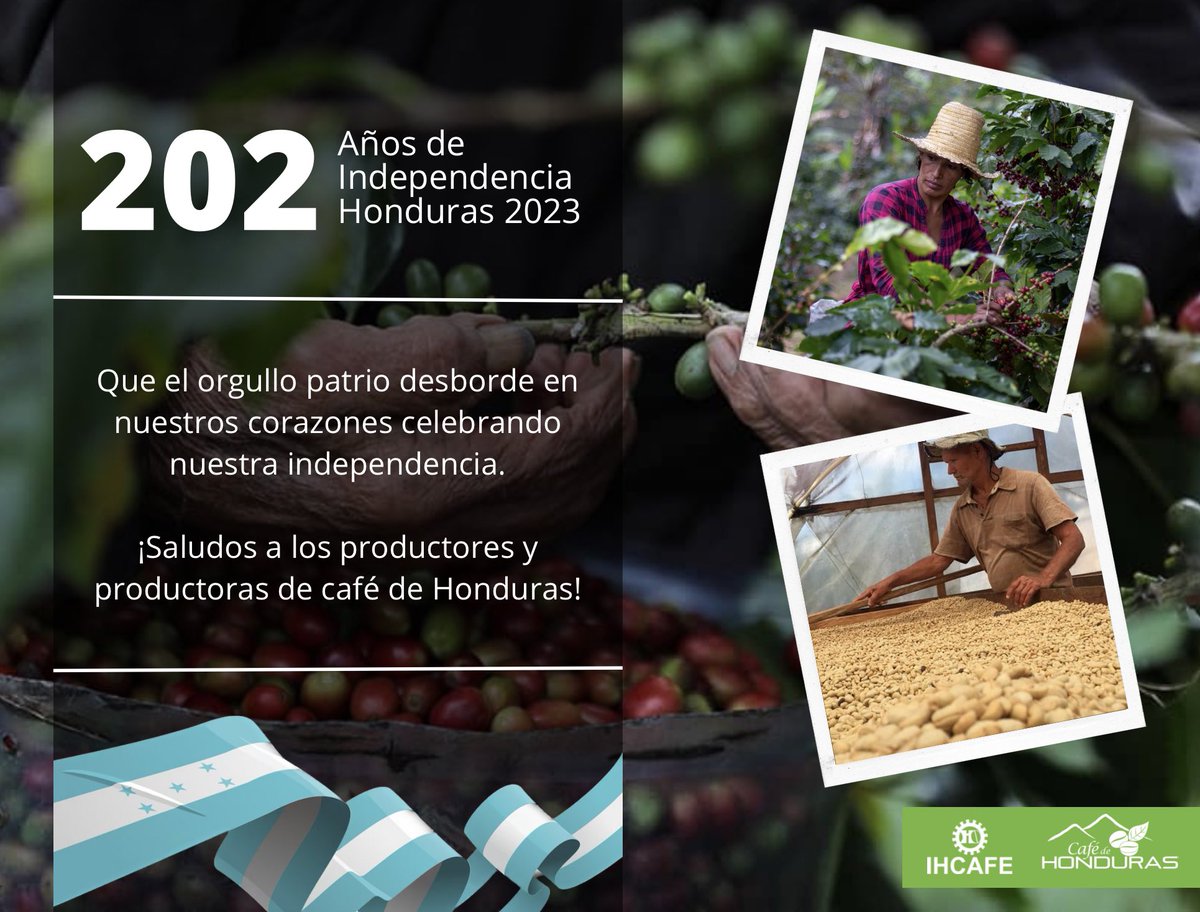 IHCAFE celebra y saluda a todos los productores y productoras de café de Honduras en los 202 años de independencia patria! #indepencencedayciaconcafe
#celebracionalaindependencia
#fiestaspatrias2023