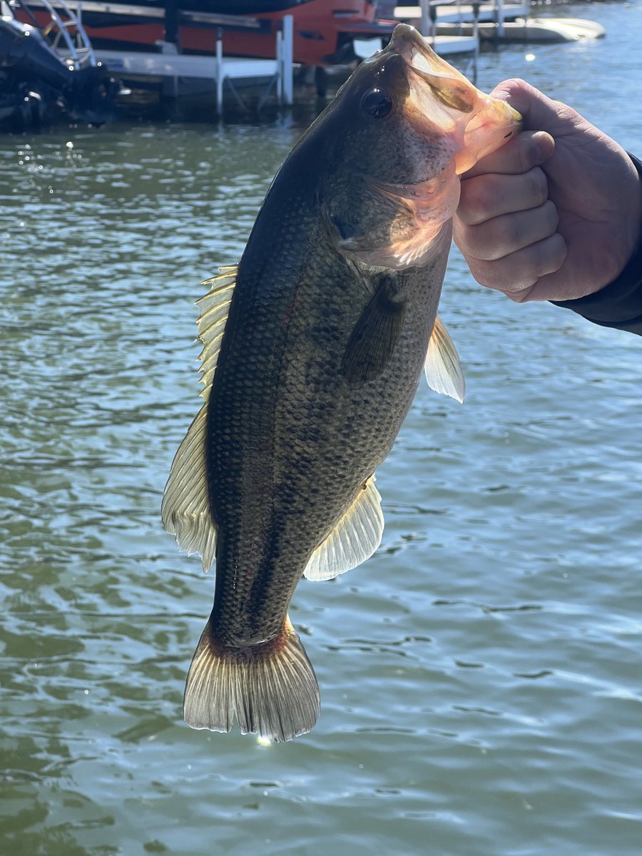 Allentown1711's tweet photo. Hubs is #Slaying too 🎣☀️🌊💫 #LimeLake https://t.co/86vn2uWM72