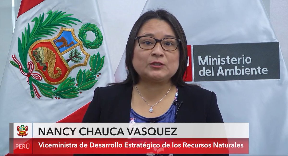 ProJbnl's tweet photo. Desde el XVII CONABOT, la VM Nancy Chauca, anuncia que el @MinamPeru  está impulsando la creación de la Red Jardín Botánico Nacional, con el compromiso de preservar nuestra biodiversidad y patrimonio natural para el futuro.  1/2🧵
Su mensaje aquí: https://t.co/Kd8SH4nmmz https://t.co/wWCENRJnRe
