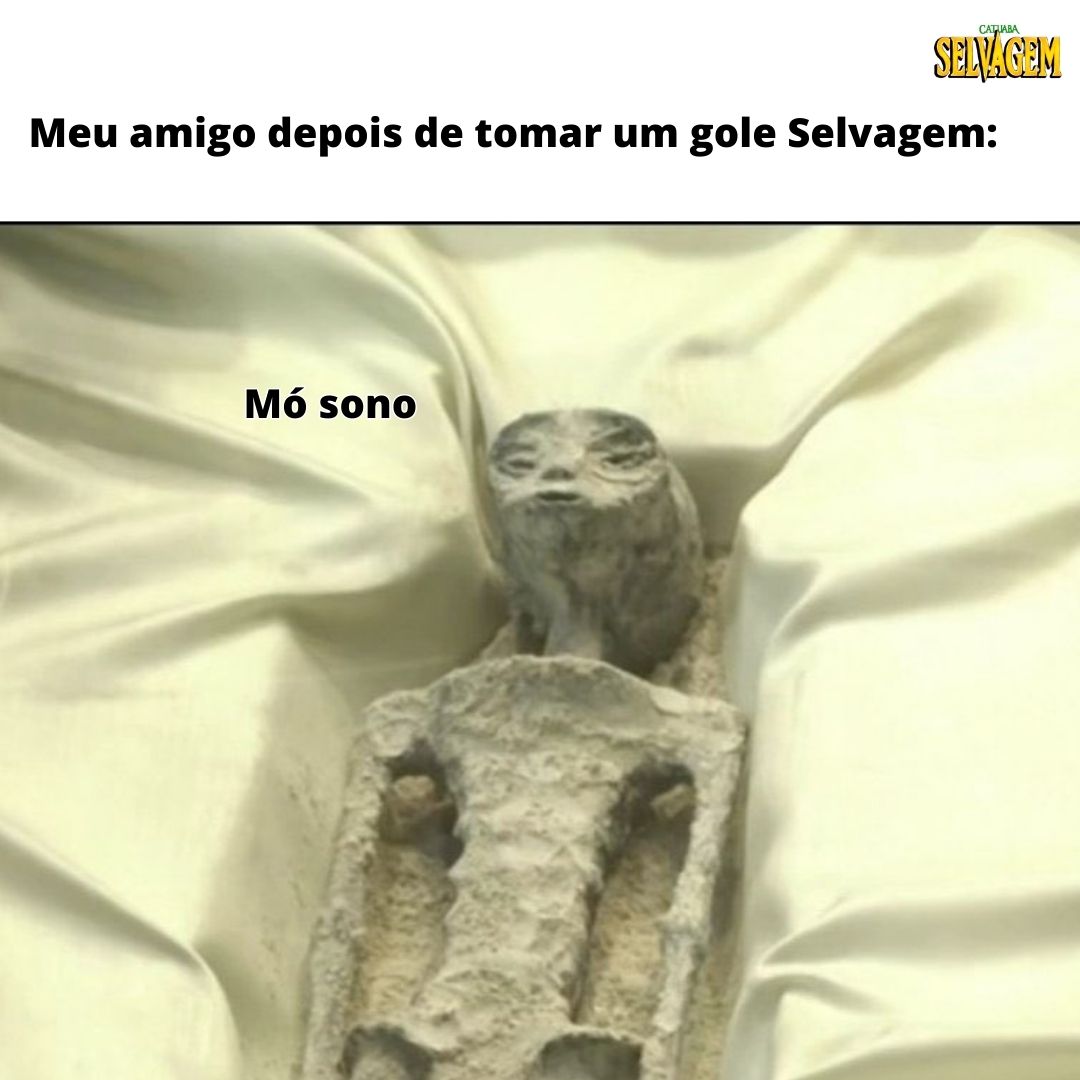 O amigo de vocês também faz isso?😅🐯