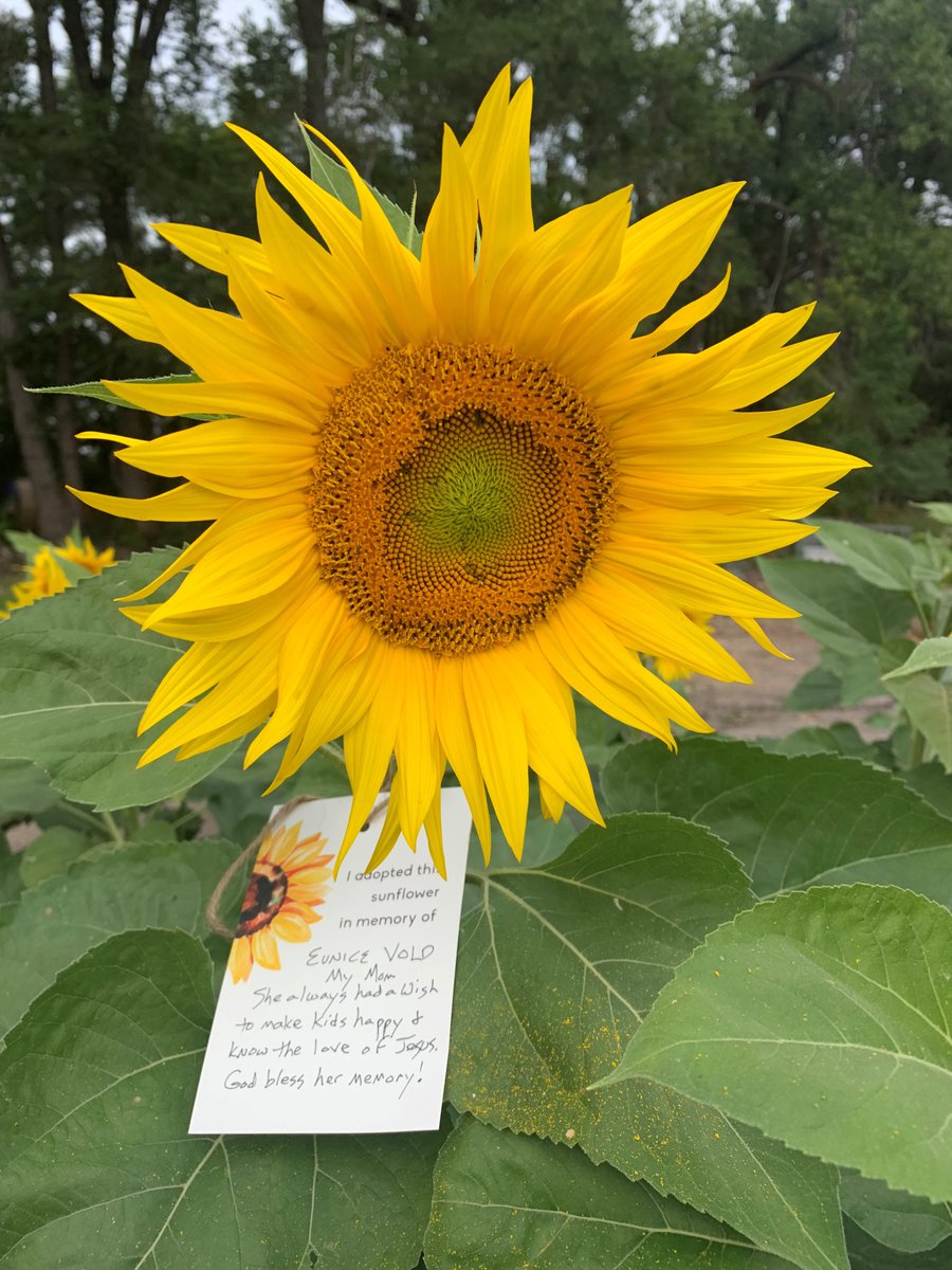 Make-A-Wish ND tweet media