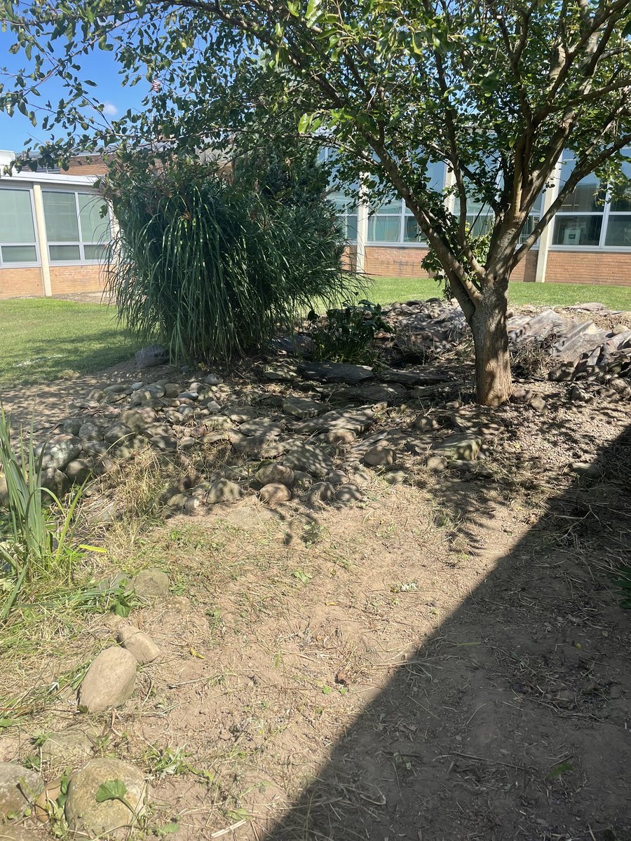 ZottoPhysics's tweet photo. Lots of work being completed towards a sustainable courtyard! https://t.co/YUoE1oFSqt