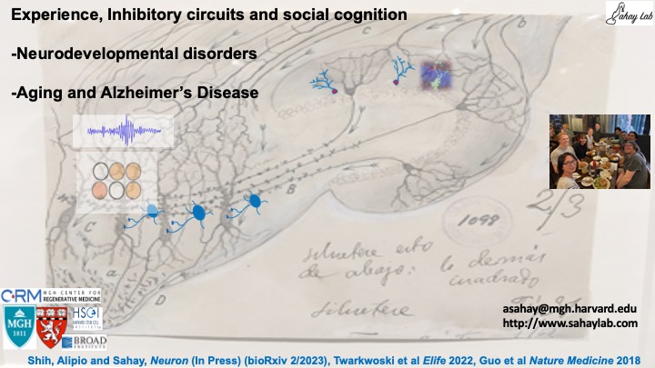 AmarSahay_'s tweet photo. PDF positions:Join a gene->synapse->circuit->network->behavior team working on experience-dep. regulation of inhibitory circuits+ social cognition in NDDs or Aging and AD. Investigate how novel candidate regulators of PV IN Plasticity contribute to social cognition. Please RT. 🙏 https://t.co/EVw8QzxW0E