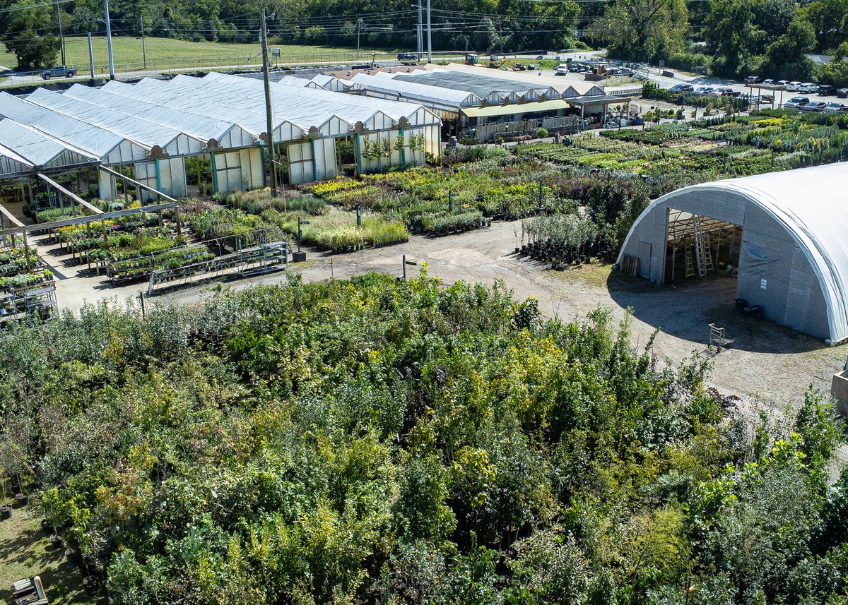 Bates Nursery tweet media