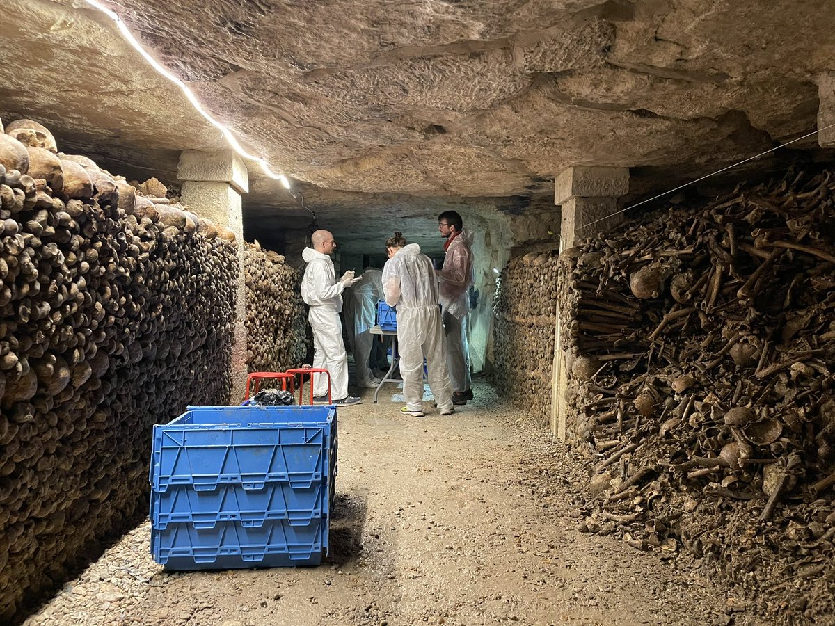 Philippe Charlier tweet media