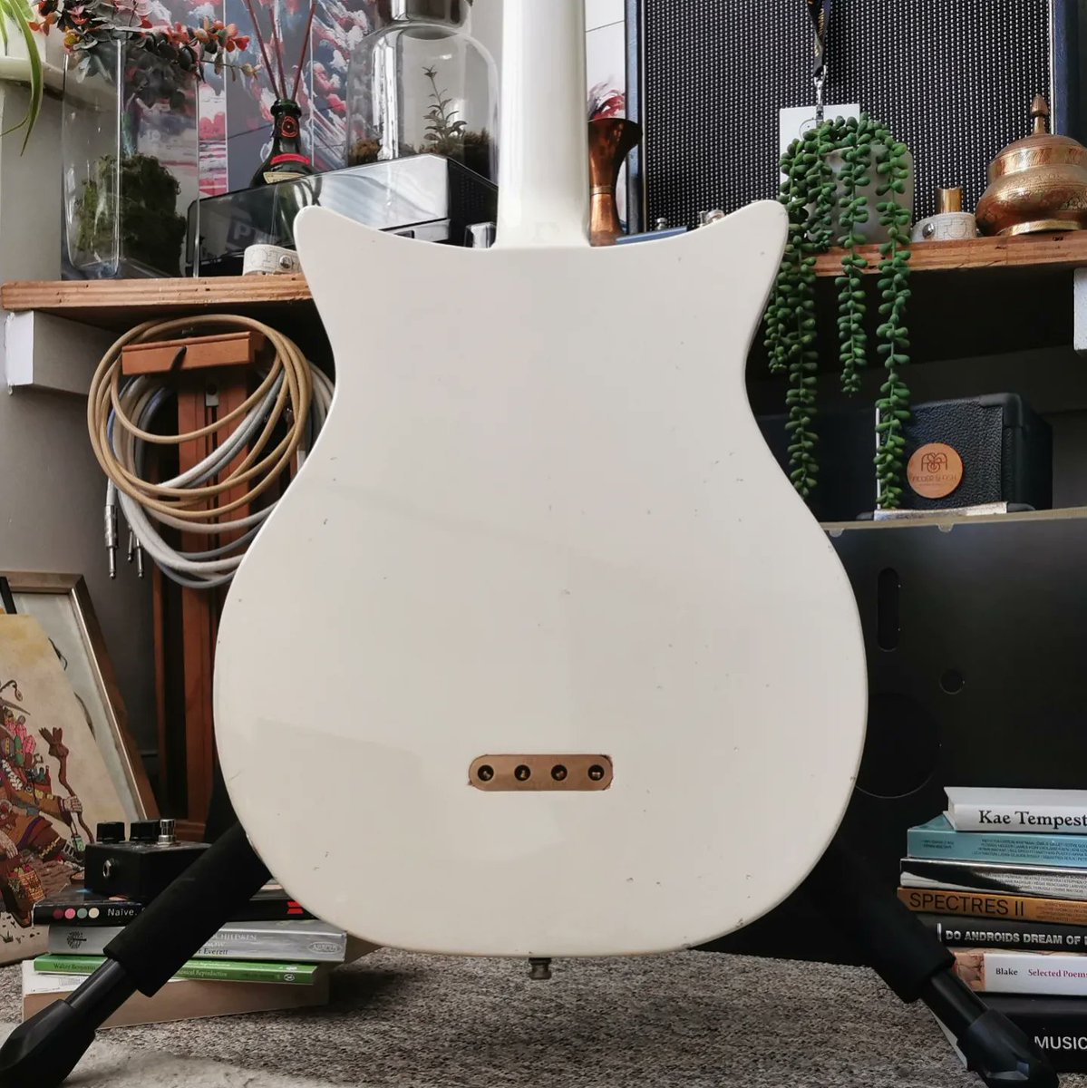 Fidelity Guitars tweet media