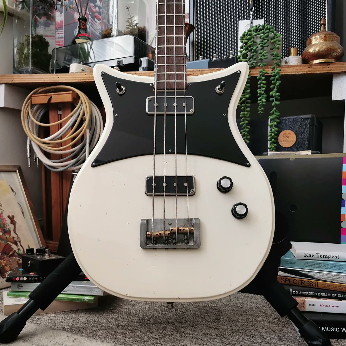 Fidelity Guitars tweet media