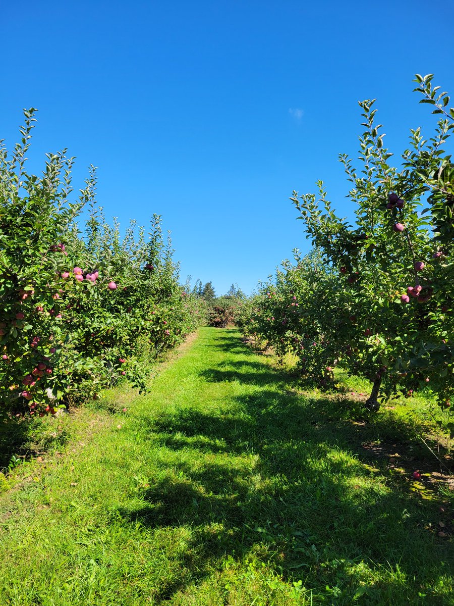 There's nothing like Michigan in September.
