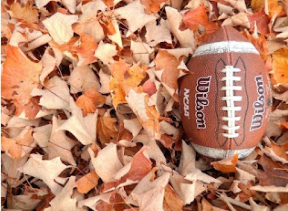 IOAFootball's tweet photo. Good luck to the zebra crews tonight as we already head into the second half of the high school regular season!! #fallfootball #MIBT #IOARocks #perfectweather @IHSAA1 https://t.co/vaLcaG6MJH
