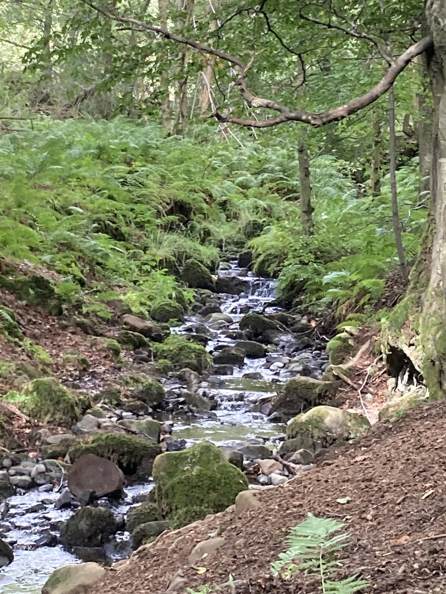 ben3373's tweet photo. #highforce #lowforce 😀 https://t.co/SV93kCa6QR